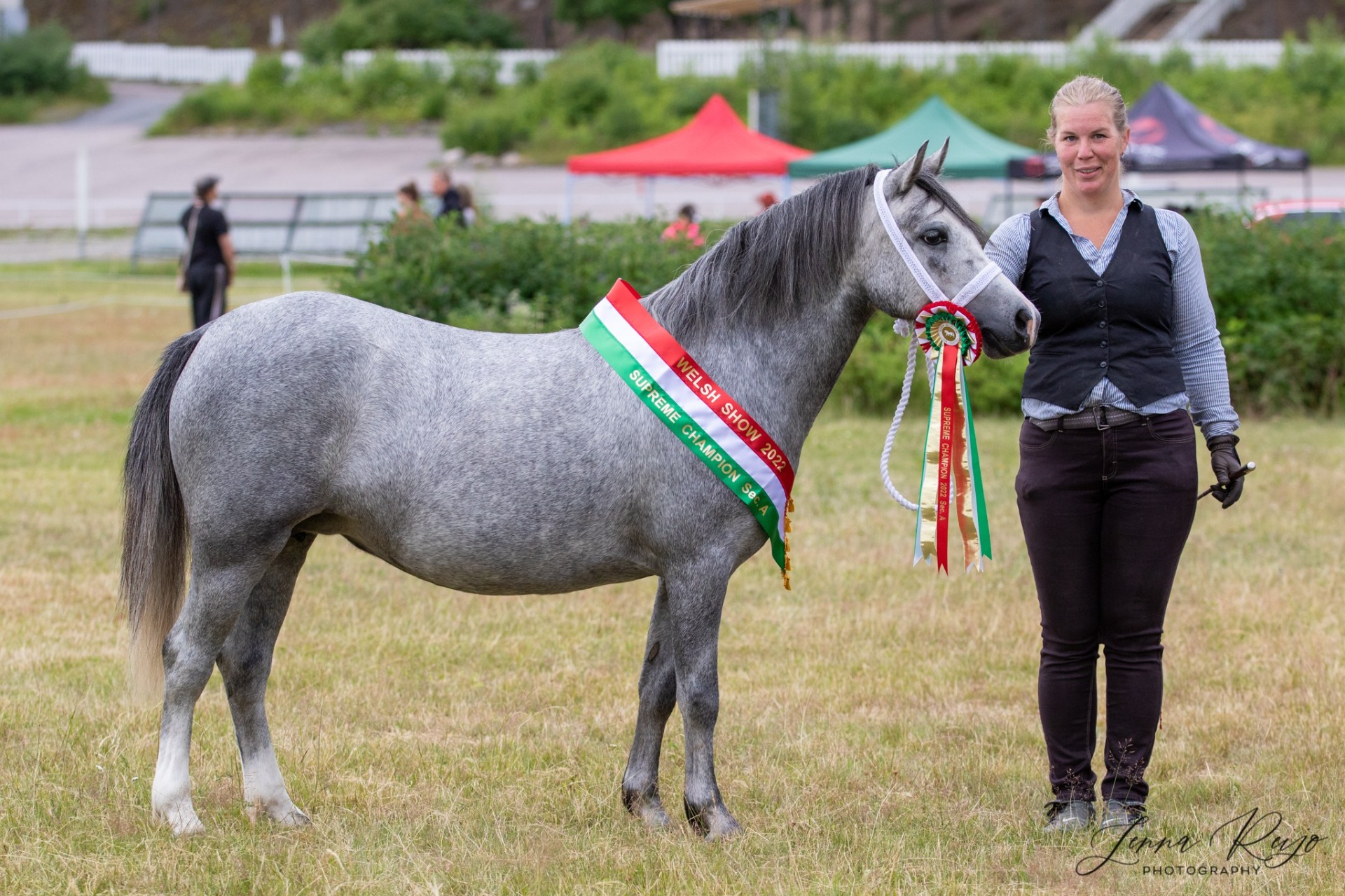 Welsh Show 2022 - Supreme Champion sec A, BIS III