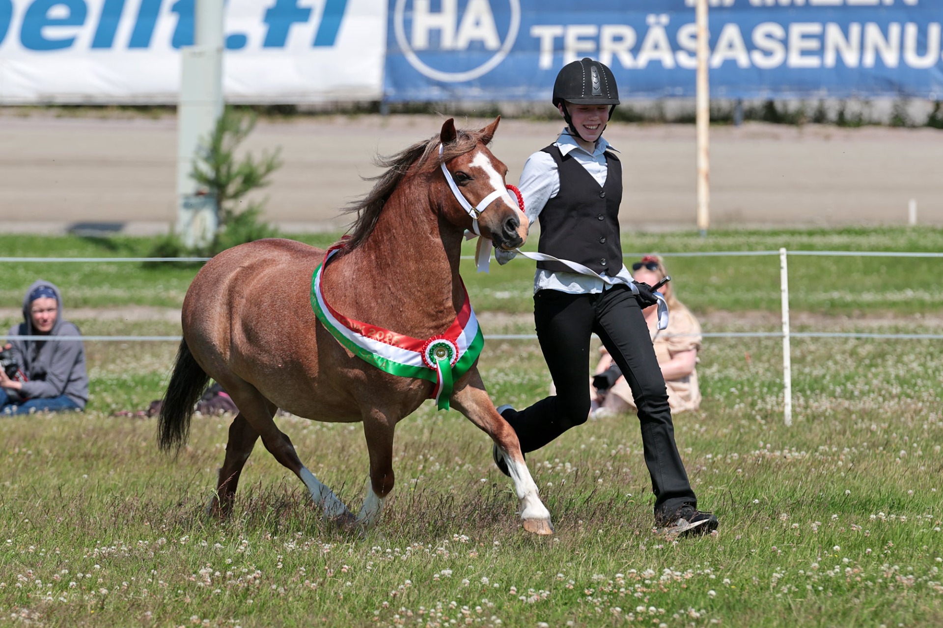 Welsh Show 2025 - Supreme Champion sec A, BIS I